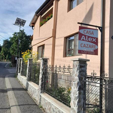 فندق Casa Alex Topliţa المظهر الخارجي الصورة