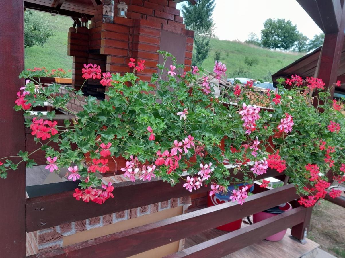 فندق Casa Alex Topliţa المظهر الخارجي الصورة