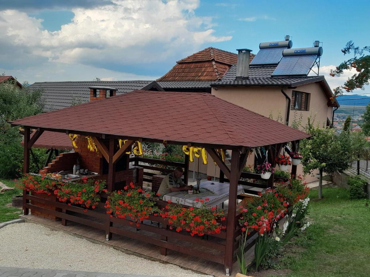 فندق Casa Alex Topliţa المظهر الخارجي الصورة