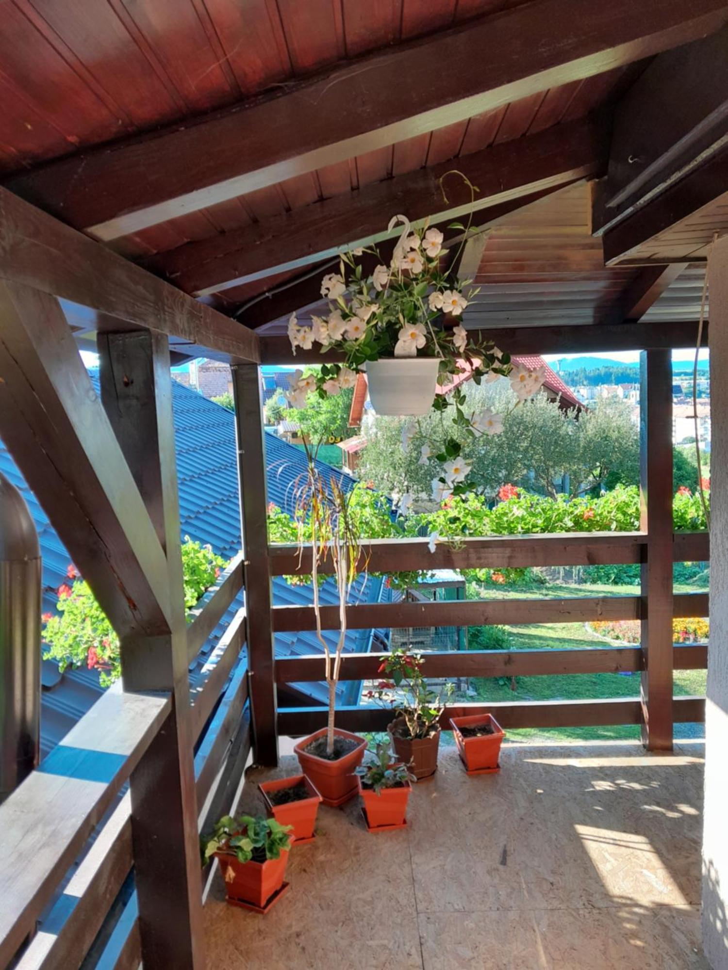 فندق Casa Alex Topliţa المظهر الخارجي الصورة