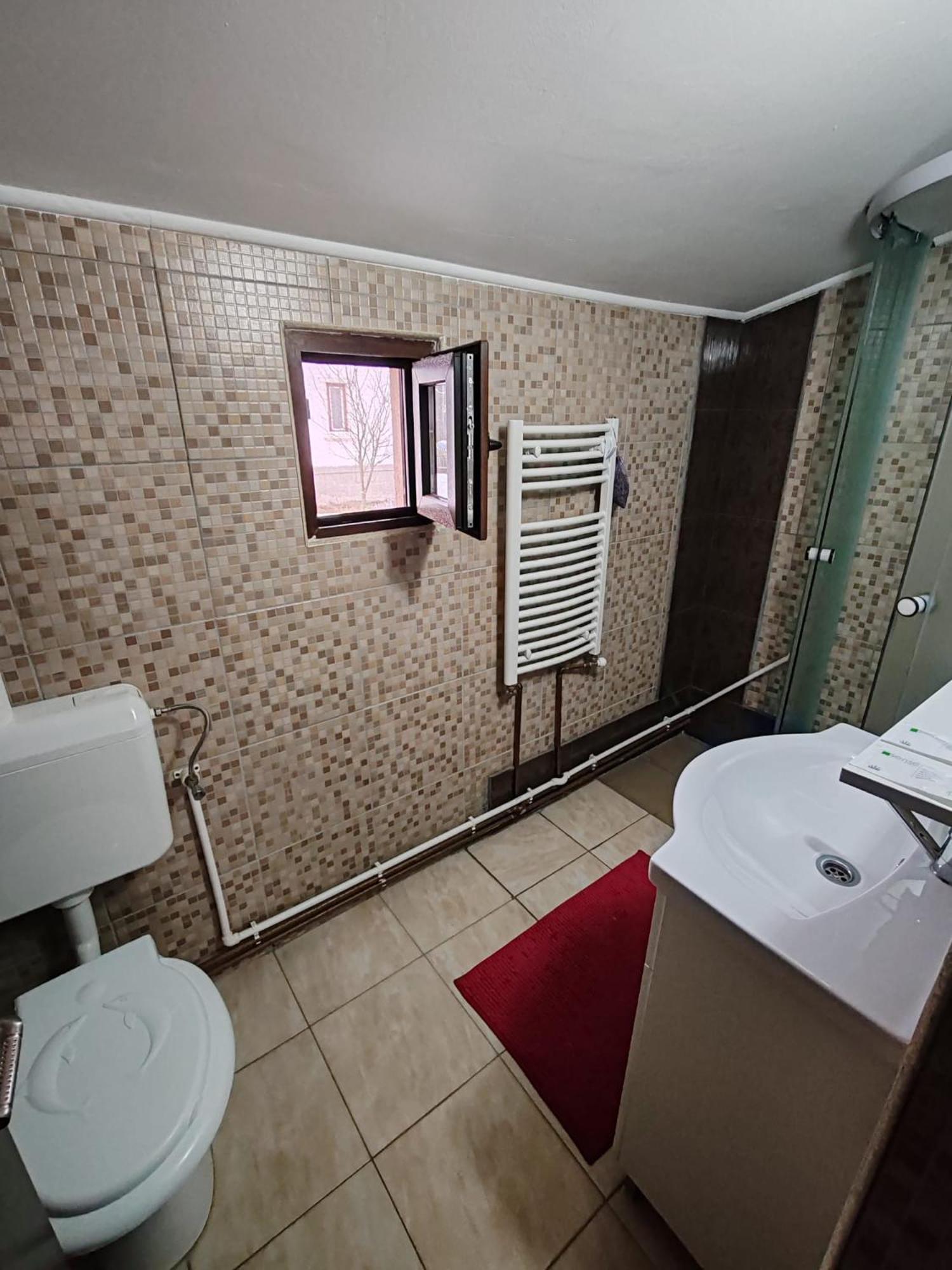 فندق Casa Alex Topliţa المظهر الخارجي الصورة